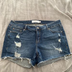 Torrid Denim Shorts